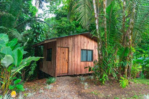 Citronela Lodge Corcovado, Drake