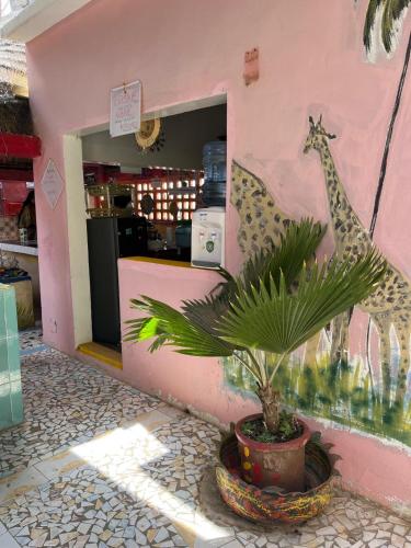 Chez Sofia in Saint Luisa