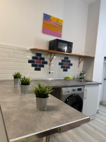LUMINOSOS APARTAMENTOS POZUELO a 8 MINUTOS DE PALACIO REAL in 阿拉瓦卡