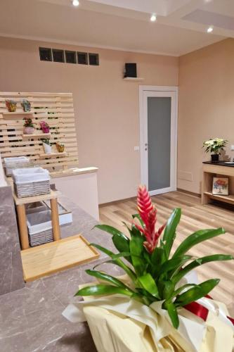 Bed & Breakfast L'Incanto Intero Appartamento, Pisa (photo 10)