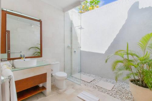 Deluxe Villa image 6