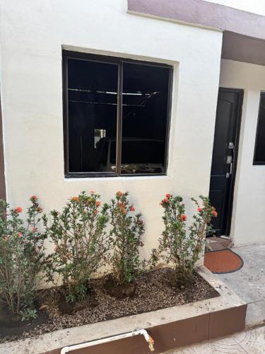 Cozy house in the center of San Vicente in San Vicente