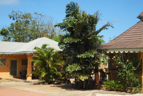 Pimento Lodge Resort