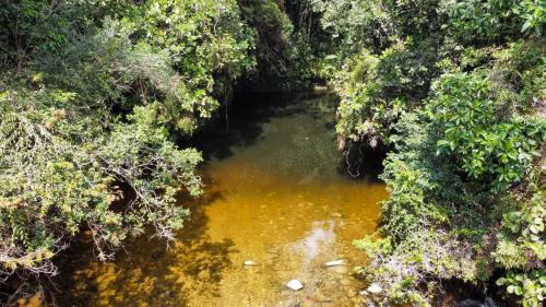 Habitación ideal para familia o amigos a borde de rio y mucha naturaleza