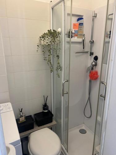 Small apartment in Nice - Tap to explore photos