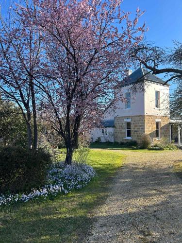 Bonnie Blink - Historic 1874 Home with Bush Views, Little Hartley