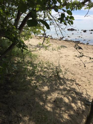 Strand, KOSMOS Guesthouse - Country house - Cottage - Quiet stretch by the sea and forest! in Turisalu