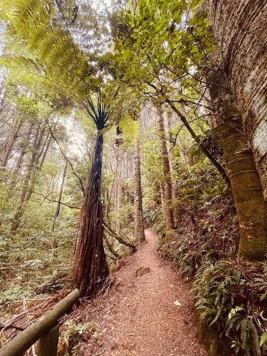 The Lazy Surfer in Blagdon