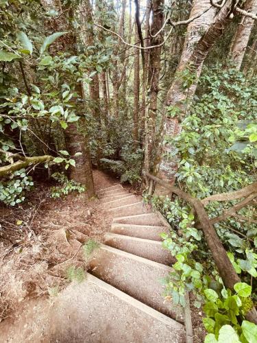 The Lazy Surfer in Blagdon