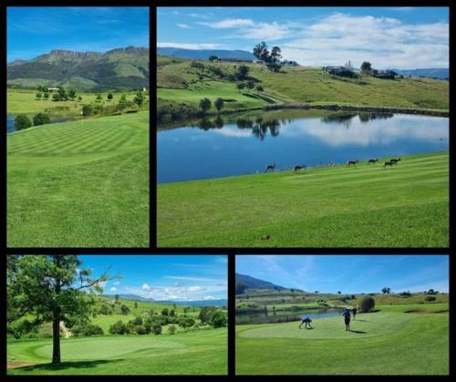 House 86 in Katberg Eco Golf Estate in 卡特堡