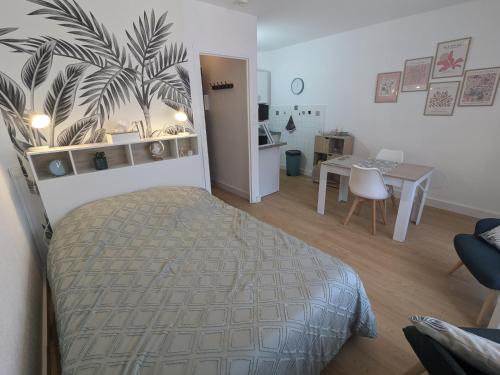 Studio Rue Castellane pour Cure ou Tourisme Vert à 2 min des Thermes
