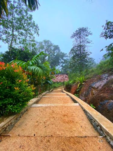 Serendib House - River View Jungle Stay Near Sinharaja Kudawa Gate in Siharaja