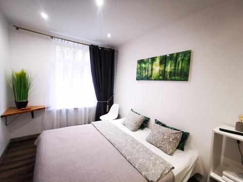 S11 Lime studio apartment - image 2