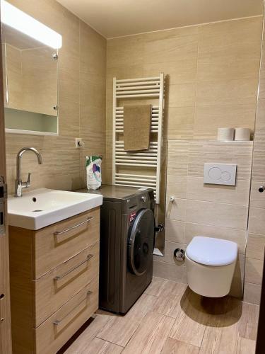 Beautiful central apartment GE, Genève (photo 5)
