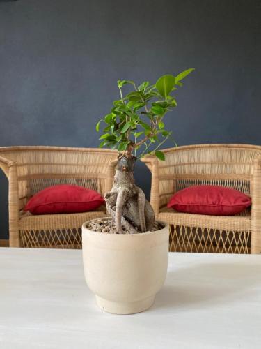 Die Huisie Die Huisie