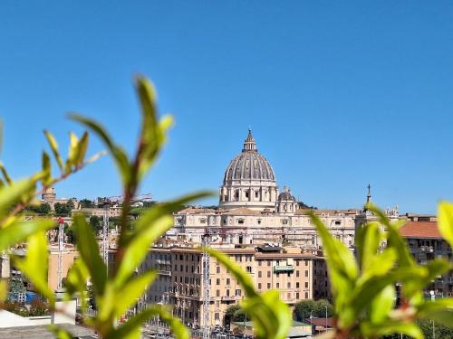 Delmirani's Book Apartments - Vatican View, Rzym (zdjęcie 4)