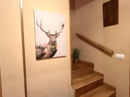 Vybavení, Dúplex d'Ainet - Vall de Cardós - L'Amfitriona (Duplex d'Ainet - Vall de Cardos - L'Amfitriona) in Vall de Cardos