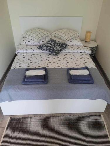 Apartament Wałowa 2