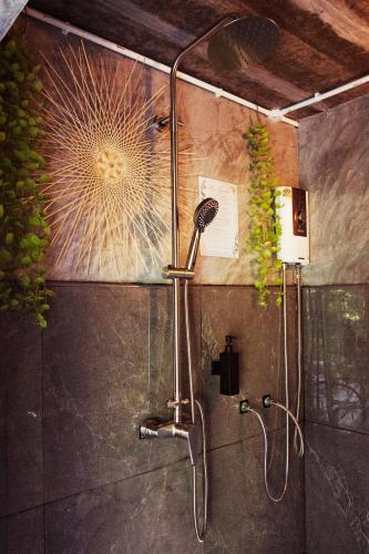 Wonderland Jungle Hostel Room Type - Bed in 6-Bed Mixed Dormitory Room