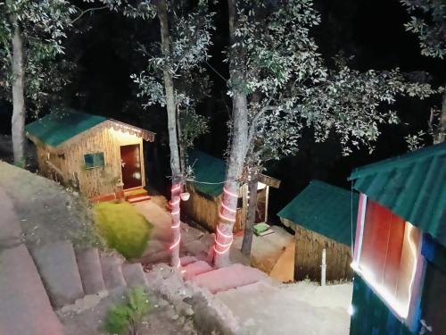 TTN - The Trekker's Nest, Jyotirmath (fotografie 10)