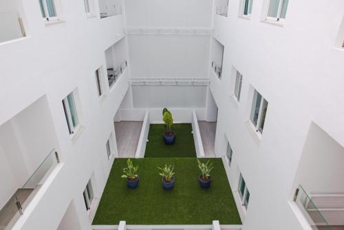 Apartamentos Los Angeles - image 12