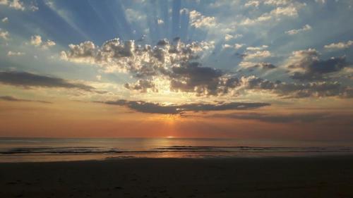 Strand83 in Egmond aan Zee