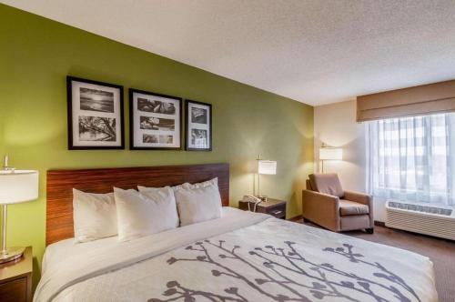 1 king bed