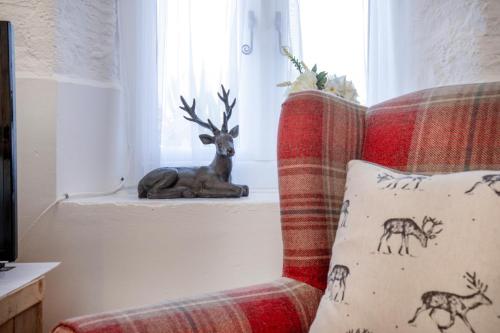 Rose Cottage, Paignton (foto 10)