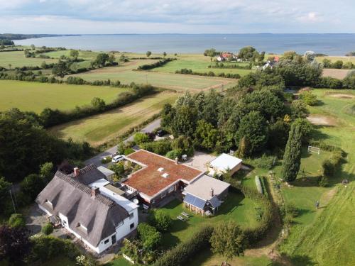 Ferienwohnung Bambuswald Ferienhof Geltinger Bucht in Koppelheck, Deutschland