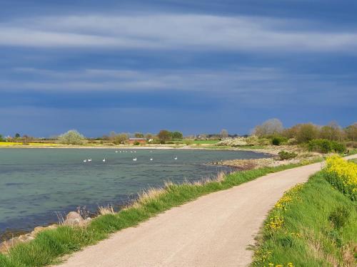 Ferienwohnung Hafenblick Ferienhof Geltinger Bucht - image 3