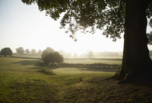 Top Cottage, Oddington Top Cottage, Oddington