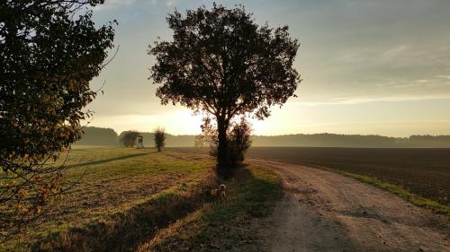 Apkārtne, FeWo Schöna45 (FeWo Schona45) in Dahme/Mark