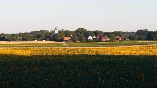 Apkārtne, FeWo Schöna45 (FeWo Schona45) in Dahme/Mark