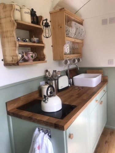 Lovely Shepherds hut near St Ives Cornwall in Carnhell Green
