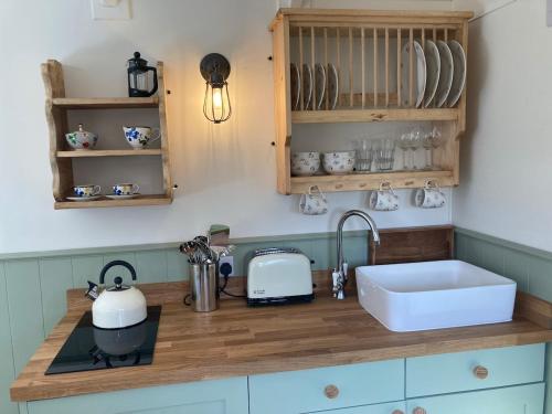 Lovely Shepherds hut near St Ives Cornwall in Carnhell Green
