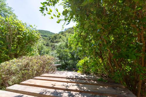 A környék, domaine Soala in Brenas