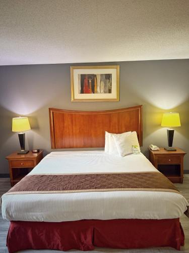 Lake Tree Inn & Suites - image 11