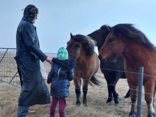 Bikers Paradise Olafsvik 4