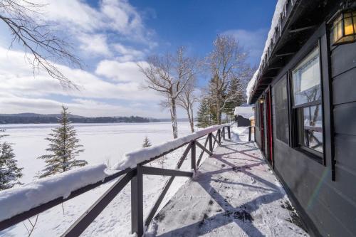 Great Pines in Big Moose (NY)