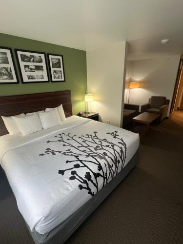 Sleep Inn & Suites Conference Center Eau Claire North - Hotel - Union