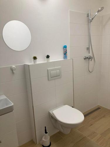 Duša, Apartmán Hrozínek (Apartman Hrozinek) in Dobré Pole