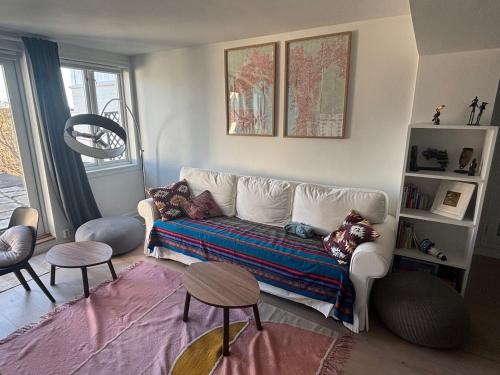 Fantastic apartment with garden and sea view on Bygdøy, Oslo (zdjęcie 5)