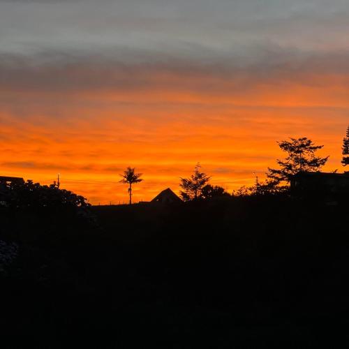 Ecohotel Zona7 Aeropuerto José María Córdova rionegro Ecohotel Zona7 Aeropuerto José María Córdova rionegro