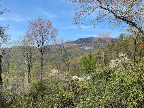 Amazing Mountain Views with Private Hot Tub! thumb 2