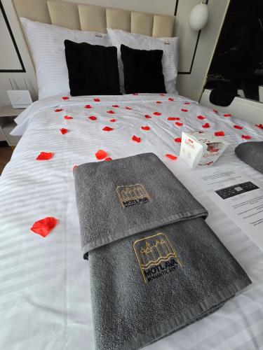 Motlava Romantic Loft