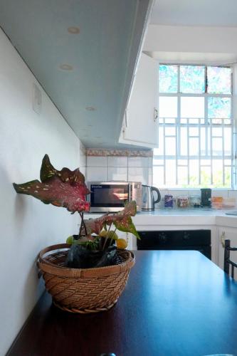 Two-Bedroom Apartment image 10