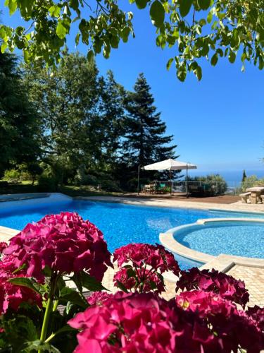 La Terrazza sulla Versilia chambre d'hôte Ruosina