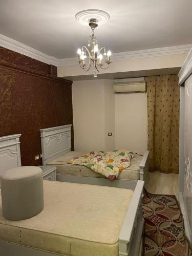 House, Kairo