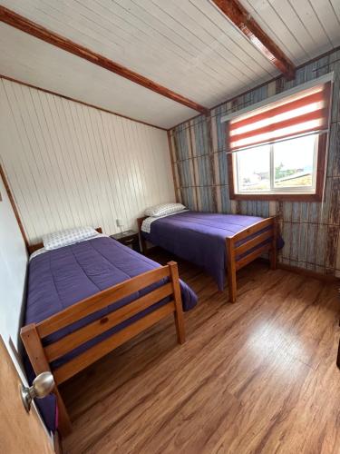 Single Bed in Mixed Dormitory Room