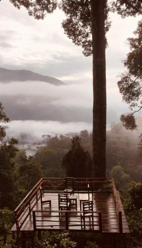 ทัศนียภาพ, Camptop Munnar in กัลลาร์ วัตติยาร